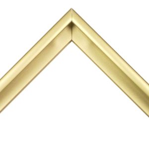 G-OEM-1-04-PC: Standard Size