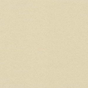 C-9511-H: Whole Sheet - Cut In Half