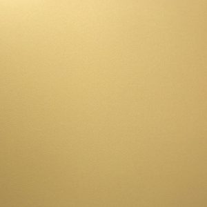 C-9521-H: Whole Sheet - Cut In Half