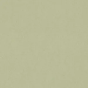 C-9525-H: Whole Sheet - Cut In Half
