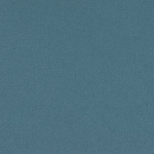 C-9542-H: Whole Sheet - Cut In Half