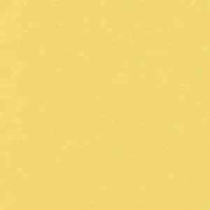 Autumn Gold #9814, 32x40 Crescent Select Matboard