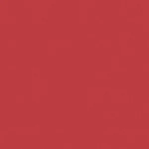 Solid red background (plain red color swatch) used as a page background or placeholder.