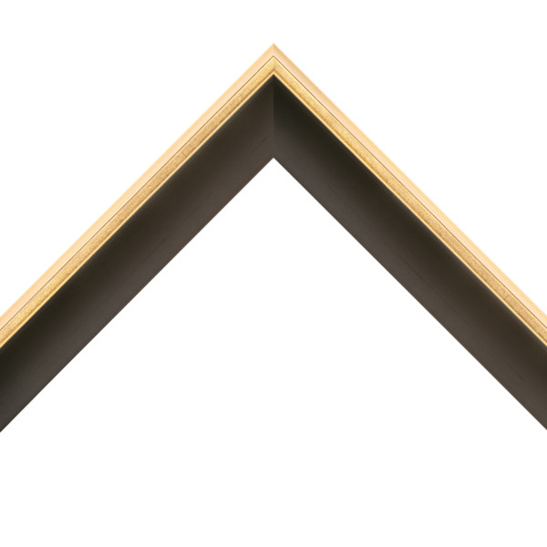 OM-84208: 3/16" Wide Gold Leaf Floater With Black Wood Floater Frame (1 1/2" Rabbet)